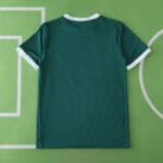 2526 season Palmeiras home Fan version