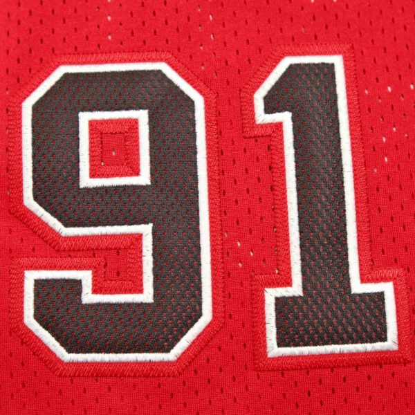NBA Chicago Bulls 91#RODMAN - Image 2