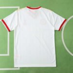 8586 Liverpool third Fan version - Image 3
