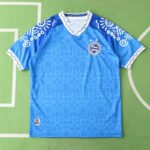 2425  Esporte Clube Bahia Concept version Fan version