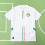 2526 season Senegal home Fan version