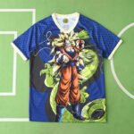 2425 season Japan Concept version Fan version