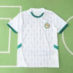 2425 season Senegal home Fan version