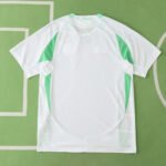 2425 season Algeria home Player version - Image 13