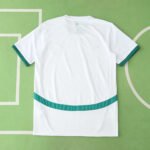 2425 season Senegal home Fan version - immagine 2