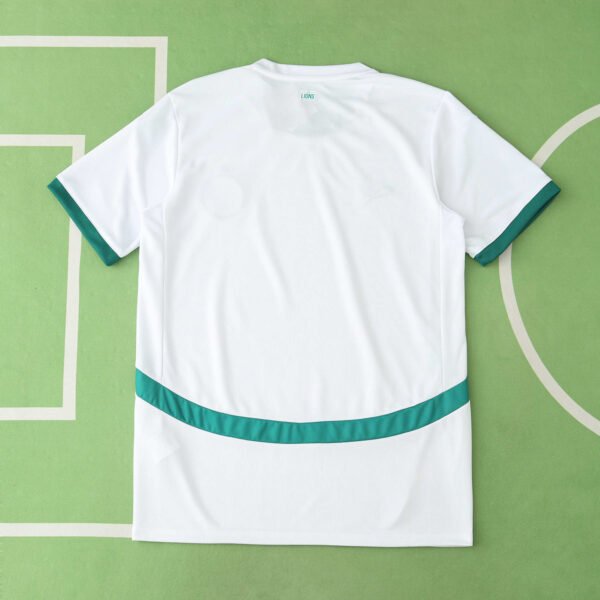 2425 season Senegal home Fan version - immagine 2