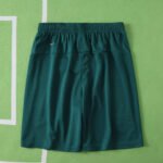 2526 season Portugal home shorts - immagine 9