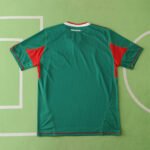 2010 season Mexico home Fan version - Billede 11