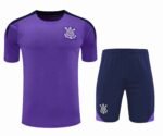 2526 season Sport Club Corinthians Paulista Training clothes suit Short sleeve Fan version
