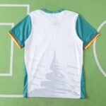 2526 season Cameroon third Player version - Billede 10