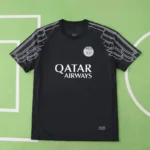 2425 season Paris Saint-Germain F.C. fourth Fan version