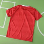 ⁦2526 season Newcastle United F.C. Commemorative Edition T shirt⁩ - الصورة ⁦13⁩